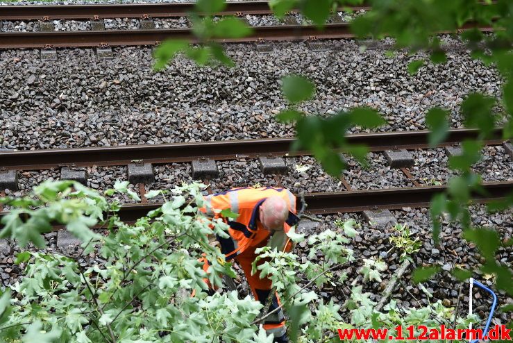 Træ væltet ned over sporet. Ved Bredballe. 14/06-2018. KL. 17:00.