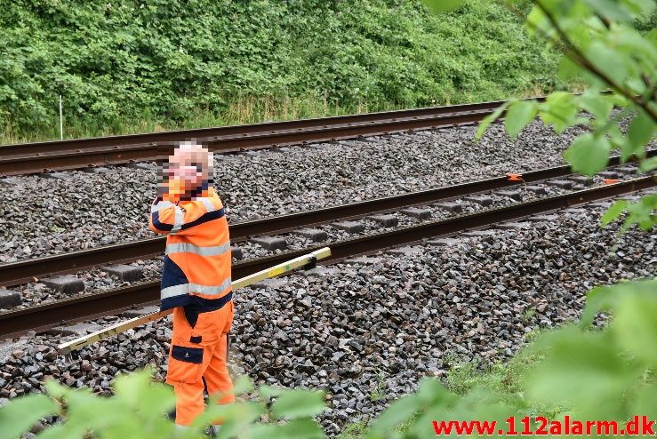 Træ væltet ned over sporet. Ved Bredballe. 14/06-2018. KL. 17:00.