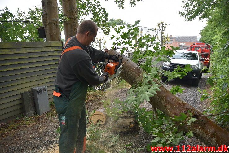 Træ væltet ned over sporet. Ved Bredballe. 14/06-2018. KL. 17:00.