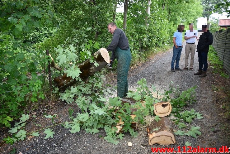 Træ væltet ned over sporet. Ved Bredballe. 14/06-2018. KL. 17:00.