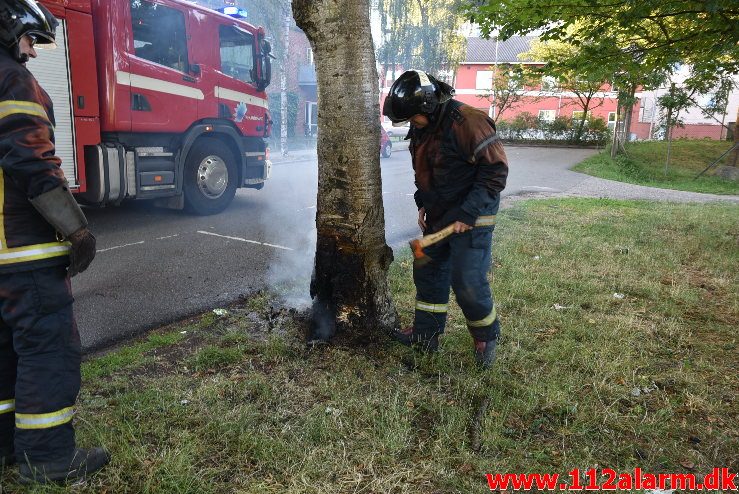 Mindre naturbrand. Steensens Vej i Vejle. 27/06-2018. Kl. 20:19.