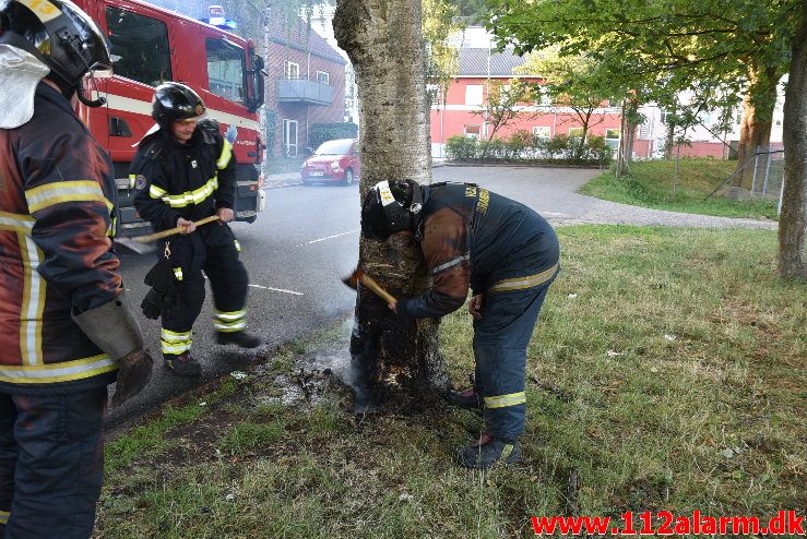 Mindre naturbrand. Steensens Vej i Vejle. 27/06-2018. Kl. 20:19.