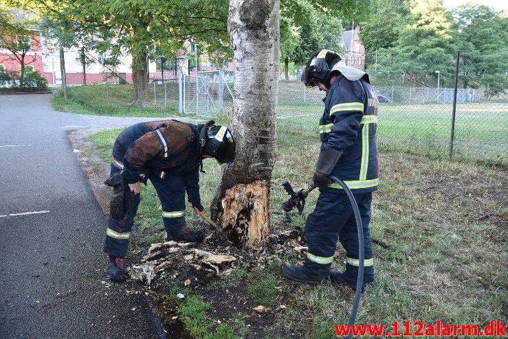 Mindre naturbrand. Steensens Vej i Vejle. 27/06-2018. Kl. 20:19.