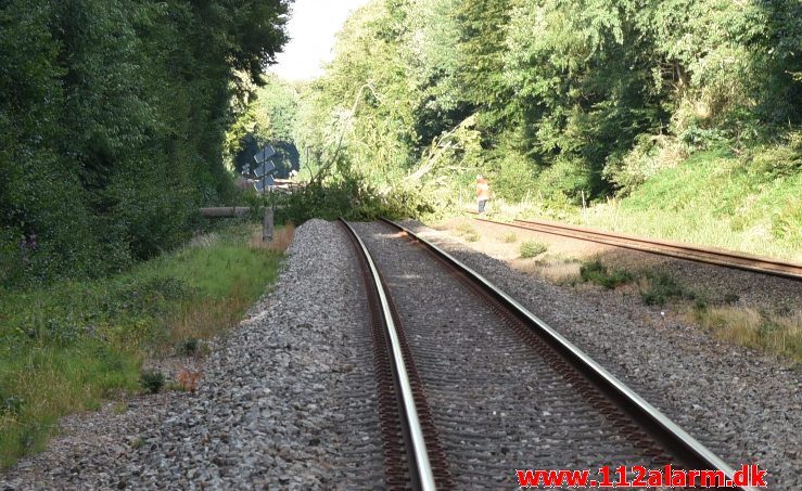 Togtrafikken stoppet af et væltet træ. Mellem Vejle og Børkop. 11/08-2018. KL. 18:18.