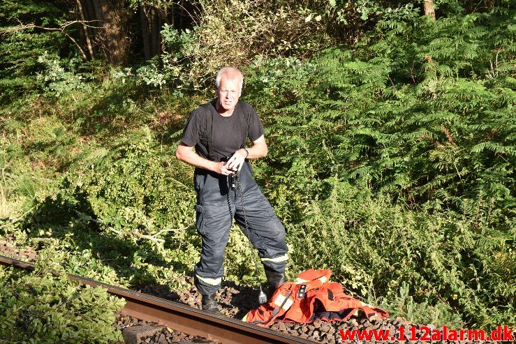 Togtrafikken stoppet af et væltet træ. Mellem Vejle og Børkop. 11/08-2018. KL. 18:18.