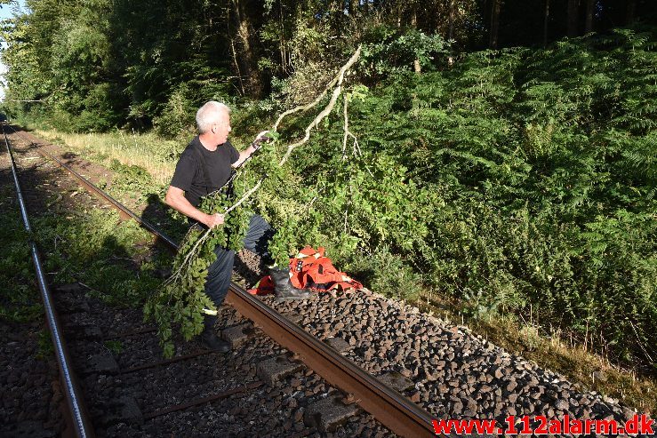 Togtrafikken stoppet af et væltet træ. Mellem Vejle og Børkop. 11/08-2018. KL. 18:18.