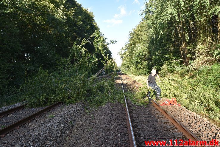 Togtrafikken stoppet af et væltet træ. Mellem Vejle og Børkop. 11/08-2018. KL. 18:18.