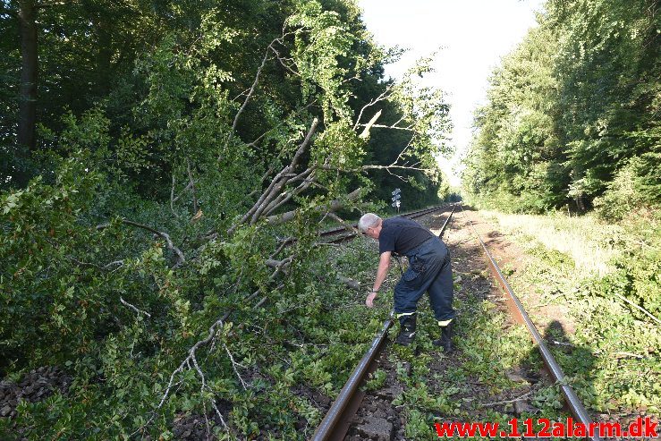 Togtrafikken stoppet af et væltet træ. Mellem Vejle og Børkop. 11/08-2018. KL. 18:18.