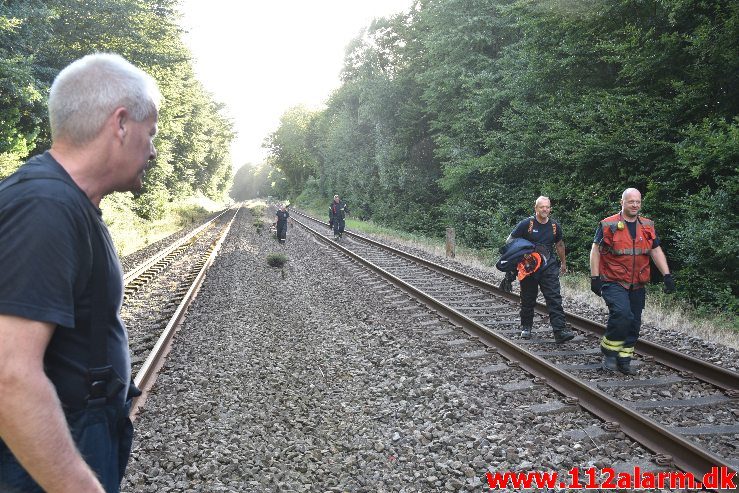 Togtrafikken stoppet af et væltet træ. Mellem Vejle og Børkop. 11/08-2018. KL. 18:18.