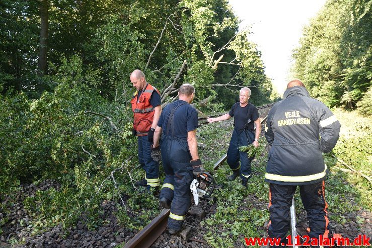 Togtrafikken stoppet af et væltet træ. Mellem Vejle og Børkop. 11/08-2018. KL. 18:18.