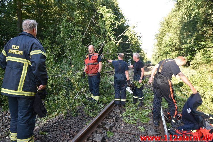 Togtrafikken stoppet af et væltet træ. Mellem Vejle og Børkop. 11/08-2018. KL. 18:18.