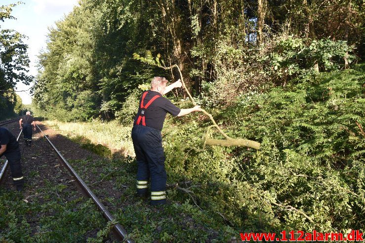 Togtrafikken stoppet af et væltet træ. Mellem Vejle og Børkop. 11/08-2018. KL. 18:18.