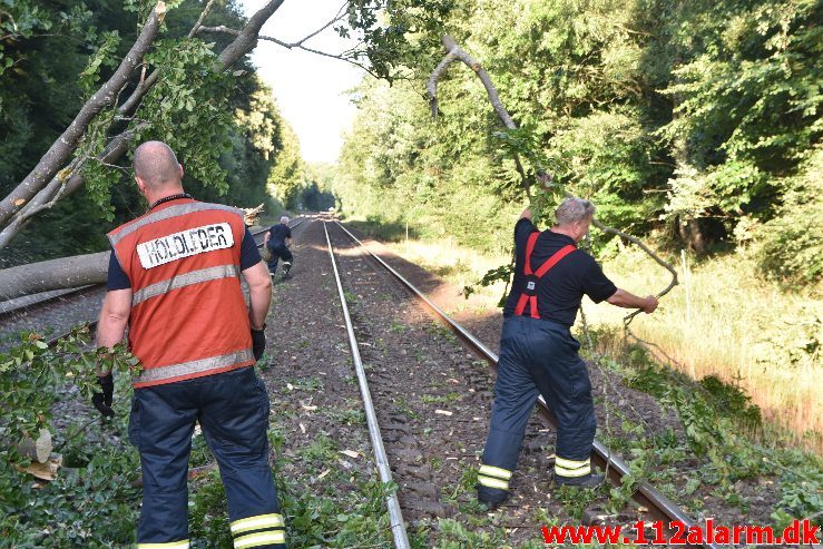 Togtrafikken stoppet af et væltet træ. Mellem Vejle og Børkop. 11/08-2018. KL. 18:18.