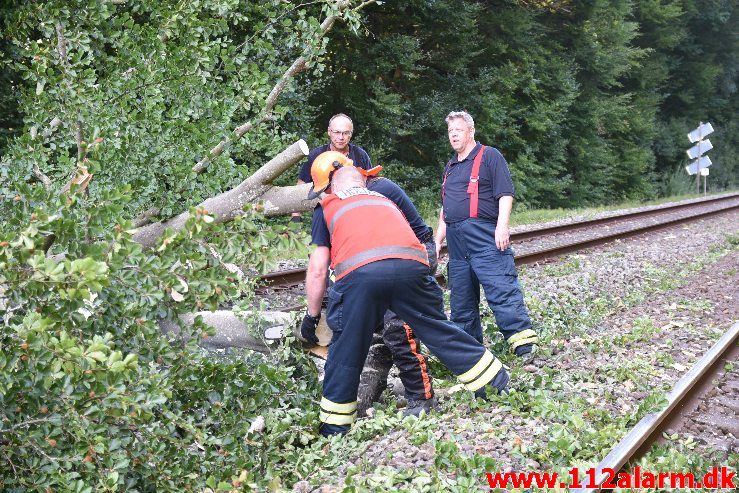 Togtrafikken stoppet af et væltet træ. Mellem Vejle og Børkop. 11/08-2018. KL. 18:18.