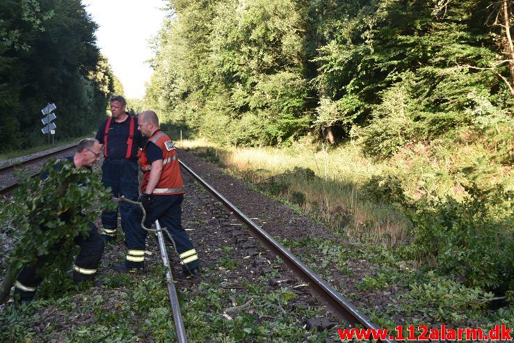 Togtrafikken stoppet af et væltet træ. Mellem Vejle og Børkop. 11/08-2018. KL. 18:18.