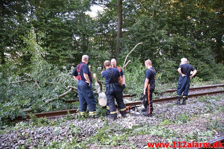 Togtrafikken stoppet af et væltet træ. Mellem Vejle og Børkop. 11/08-2018. KL. 18:18.