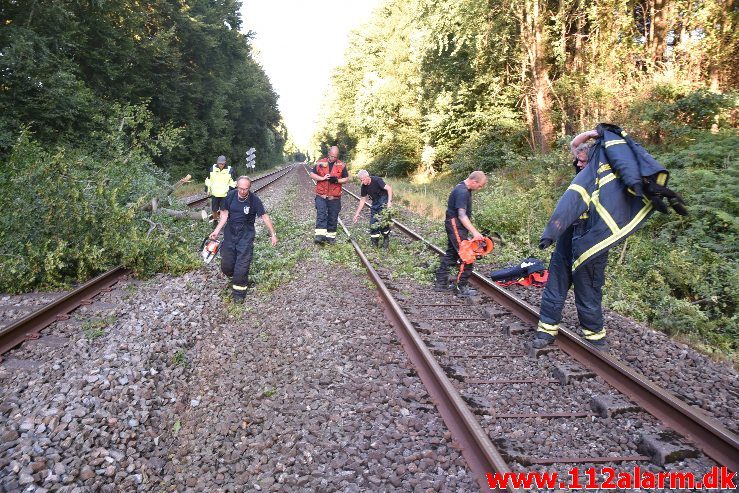 Togtrafikken stoppet af et væltet træ. Mellem Vejle og Børkop. 11/08-2018. KL. 18:18.