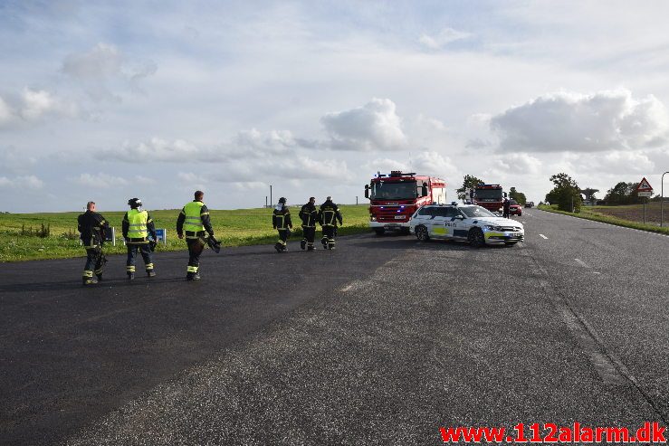 Fuh med fastklemt. Viborgvej ved Hornstrup Kirkeby. 12/09-2018. KL. 16:22.