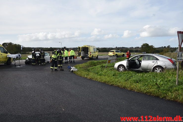 Fuh med fastklemt. Viborgvej ved Hornstrup Kirkeby. 12/09-2018. KL. 16:22.