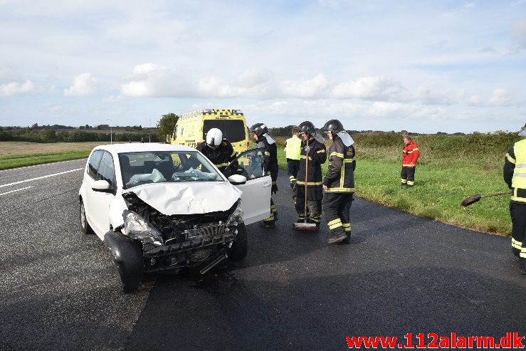 Fuh med fastklemt. Viborgvej ved Hornstrup Kirkeby. 12/09-2018. KL. 16:22.