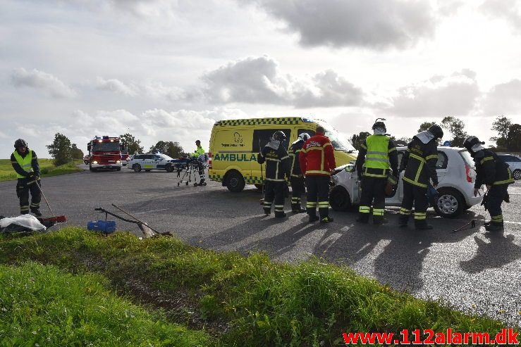 Fuh med fastklemt. Viborgvej ved Hornstrup Kirkeby. 12/09-2018. KL. 16:22.