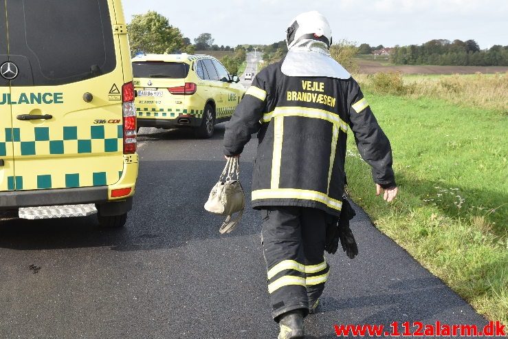 Fuh med fastklemt. Viborgvej ved Hornstrup Kirkeby. 12/09-2018. KL. 16:22.