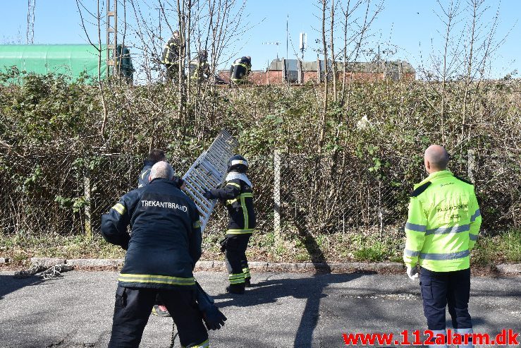 Kvinde havnet i tjørnebuske. Jernbanegade i Vejle. 31/03-2019. KL. 11:41.