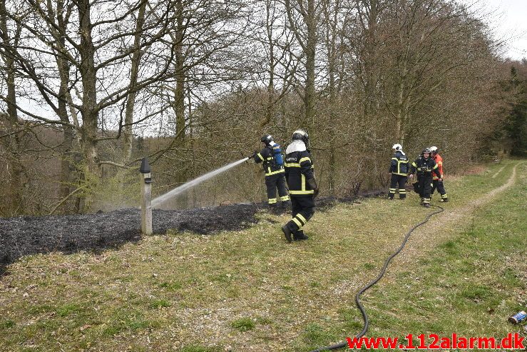 Skovbrand . Højgårdsvej ved Fløjstrup. 14/04-2019. Kl. 17:00.