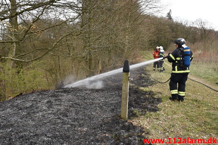 Skovbrand . Højgårdsvej ved Fløjstrup. 14/04-2019. Kl. 17:00.