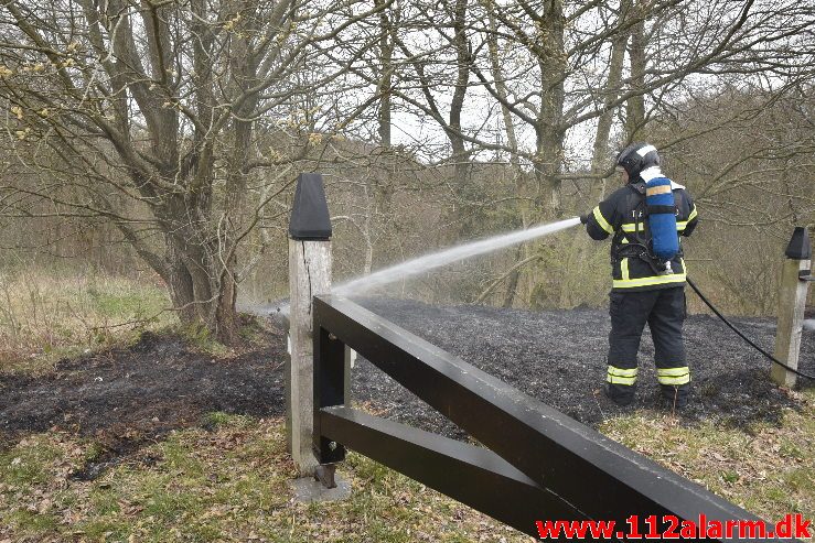 Skovbrand . Højgårdsvej ved Fløjstrup. 14/04-2019. Kl. 17:00.