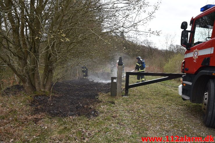 Skovbrand . Højgårdsvej ved Fløjstrup. 14/04-2019. Kl. 17:00.