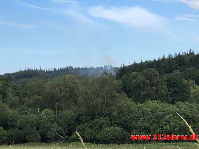 Naturbrand-Mindre brand. Skovvej 5 Ødsted. 12/07-2019. KL. 17:47.