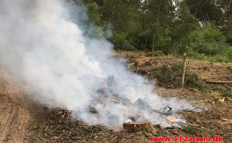 Naturbrand-Mindre brand. Skovvej 5 Ødsted. 12/07-2019. KL. 17:47.