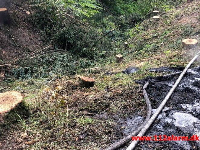 Naturbrand-Mindre brand. Skovvej 5 Ødsted. 12/07-2019. KL. 17:47.