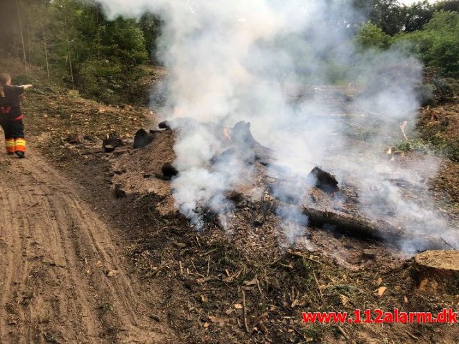 Naturbrand-Mindre brand. Skovvej 5 Ødsted. 12/07-2019. KL. 17:47.