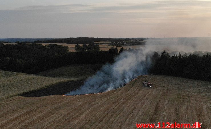 Markbrand ikke høstet. Petersmindevej i Vejle. 25/07-2019. Kl. 20:33.