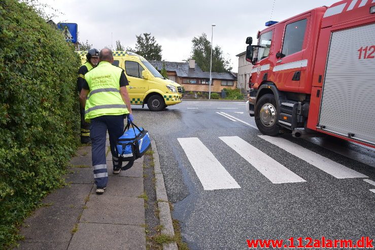 Fuh-Fastklemt. Bøgevang i Vejle. 16/08-2019. KL. 06:40.