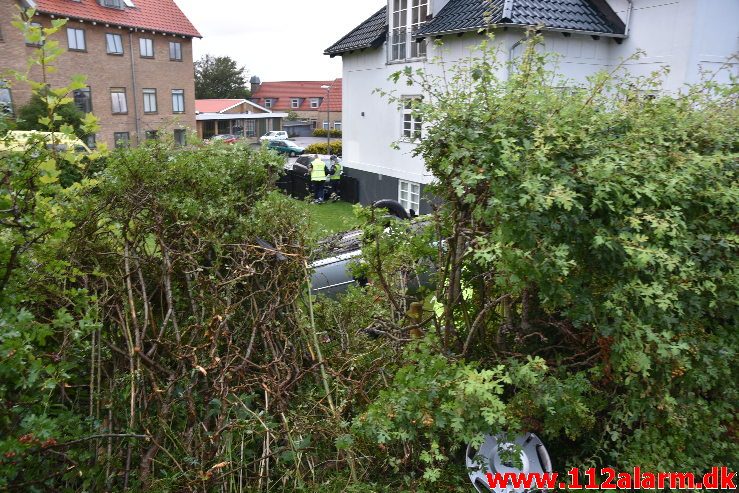 Fuh-Fastklemt. Bøgevang i Vejle. 16/08-2019. KL. 06:40.