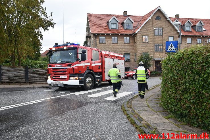 Fuh-Fastklemt. Bøgevang i Vejle. 16/08-2019. KL. 06:40.