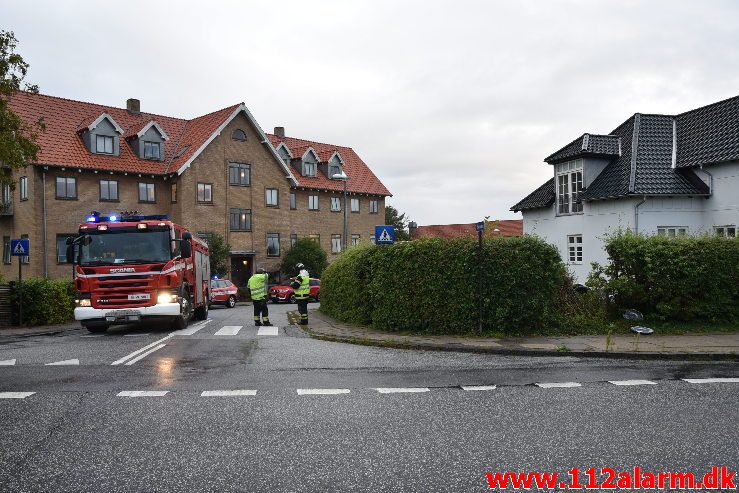 Fuh-Fastklemt. Bøgevang i Vejle. 16/08-2019. KL. 06:40.