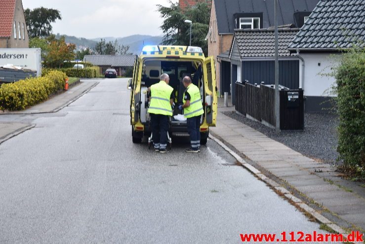 Fuh-Fastklemt. Bøgevang i Vejle. 16/08-2019. KL. 06:40.