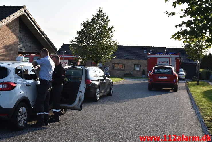 Røg i køkkenet. Hindbærhaven i Vejle Ø. 21/08-2019. Kl. 19:04.