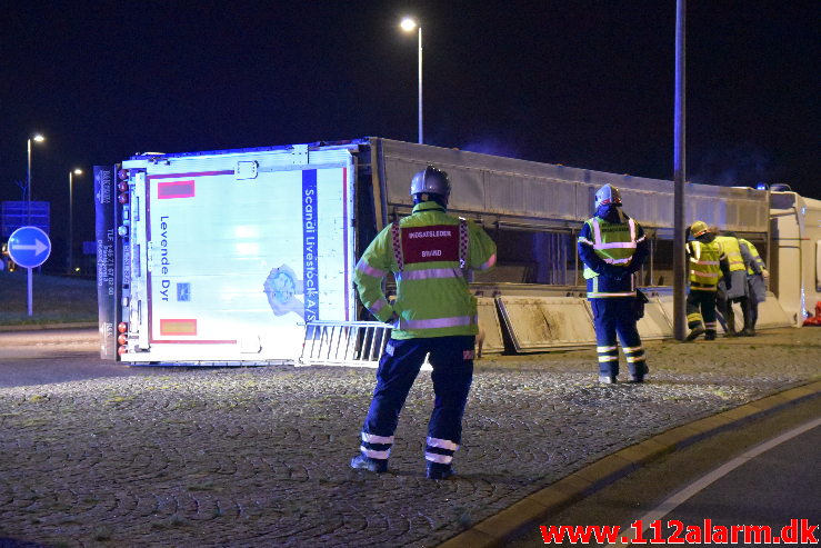 Væltet grisetransport. Jyllandsvej i Middelfart. 18/12-2019. KL. 17:31.