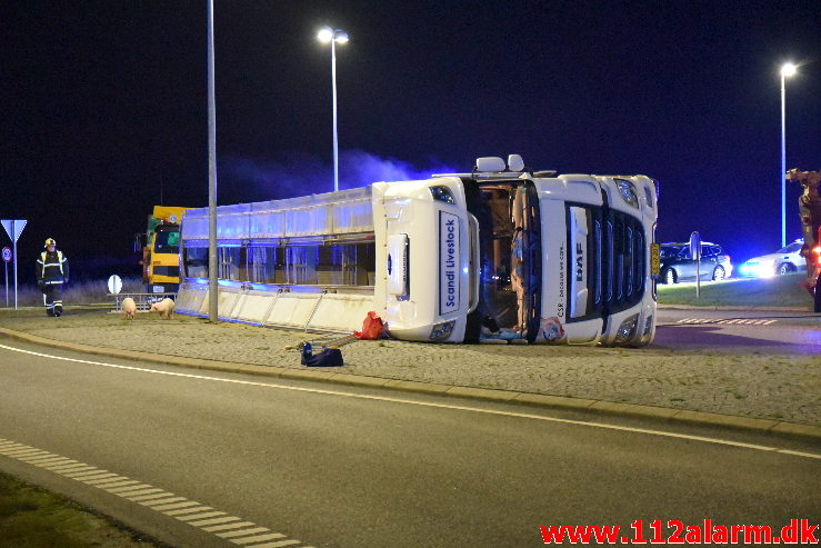 Væltet grisetransport. Jyllandsvej i Middelfart. 18/12-2019. KL. 17:31.