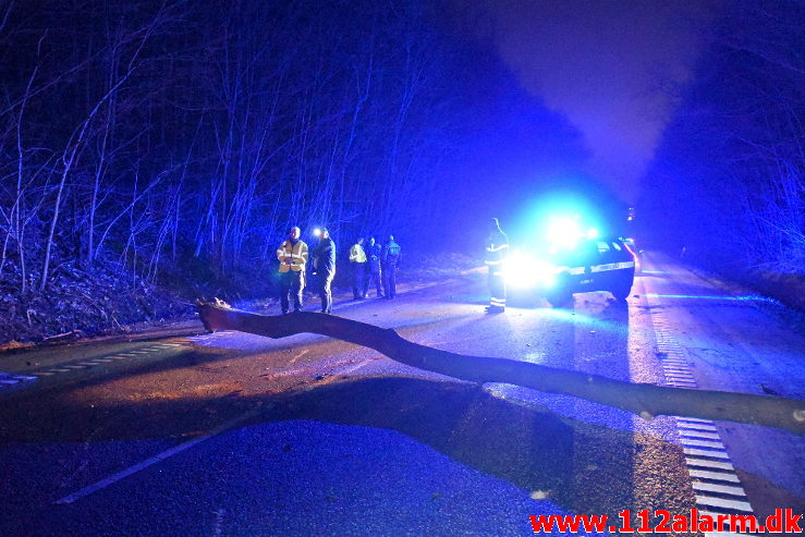 Pludselig lå der et træ tværs over vejen. Koldingvej ved Vejle. 11/01-2020. Kl. 17:54.
