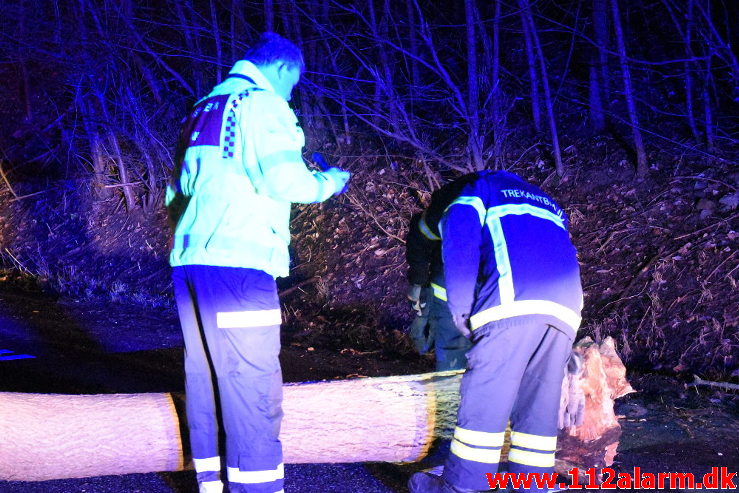 Pludselig lå der et træ tværs over vejen. Koldingvej ved Vejle. 11/01-2020. Kl. 17:54.