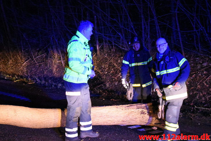 Pludselig lå der et træ tværs over vejen. Koldingvej ved Vejle. 11/01-2020. Kl. 17:54.