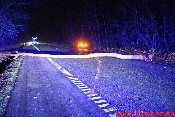 Pludselig lå der et træ tværs over vejen. Koldingvej ved Vejle. 11/01-2020. Kl. 17:54.