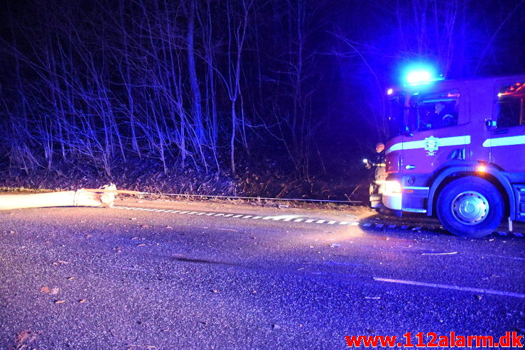 Pludselig lå der et træ tværs over vejen. Koldingvej ved Vejle. 11/01-2020. Kl. 17:54.