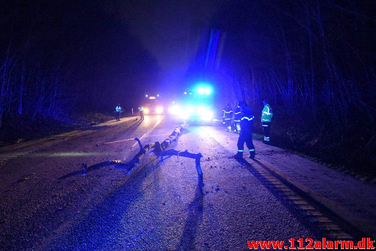 Pludselig lå der et træ tværs over vejen. Koldingvej ved Vejle. 11/01-2020. Kl. 17:54.